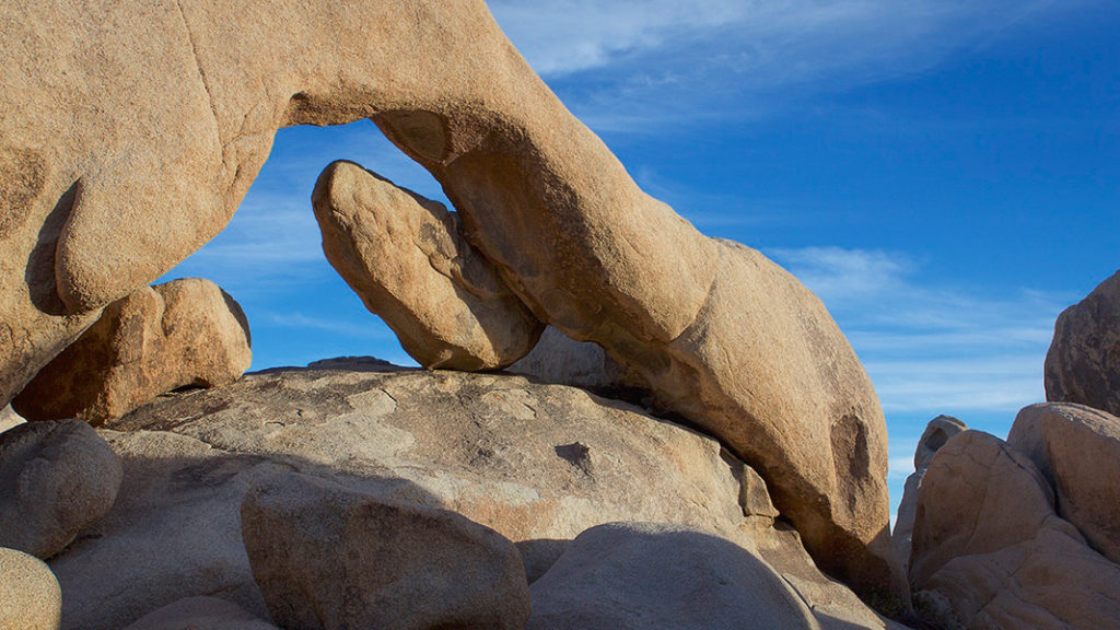 Rich Dewhirst, Joshua Tree National Park