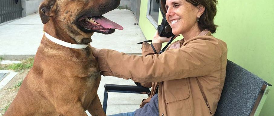 Debbie Zeitman and Buster at Animal Rescue