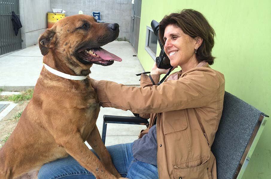 Debbie Zeitman and Buster at Animal Rescue