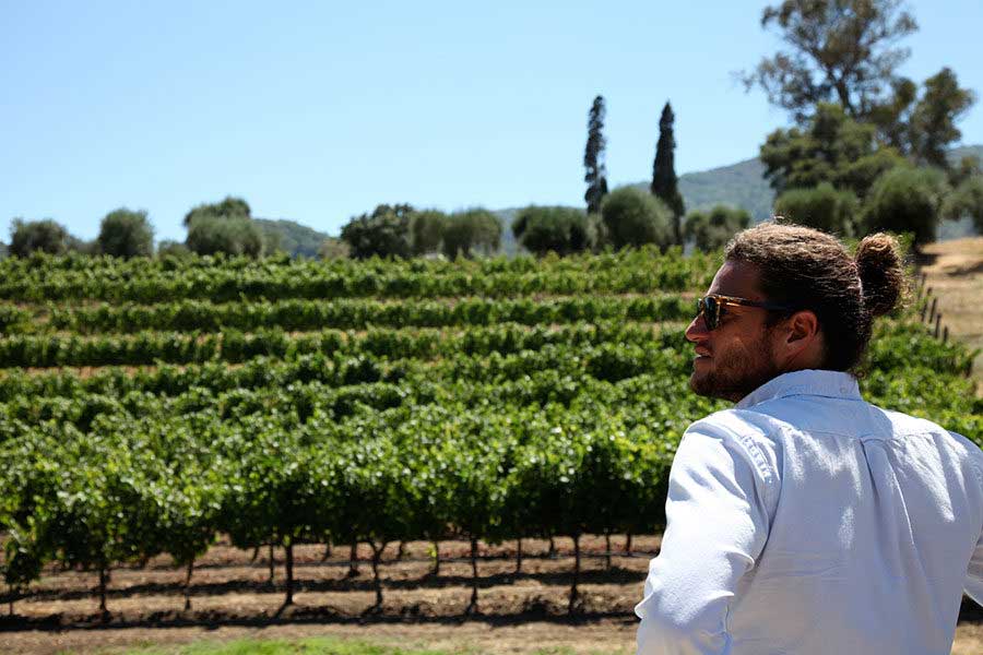 Seth Cripe at LOLA Vinyards